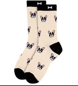 French Bulldog Puppy Socks